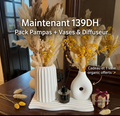 Pack Complet - Vases + Plateau + Fleurs Séchées + Diffuseur
